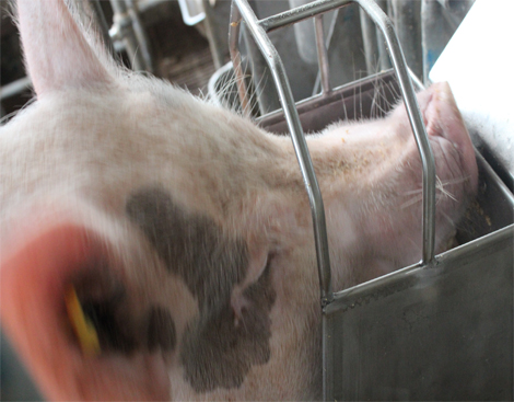 长阳土家族自治县房屋承载力安全