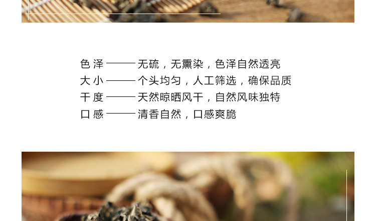FLIR热像仪