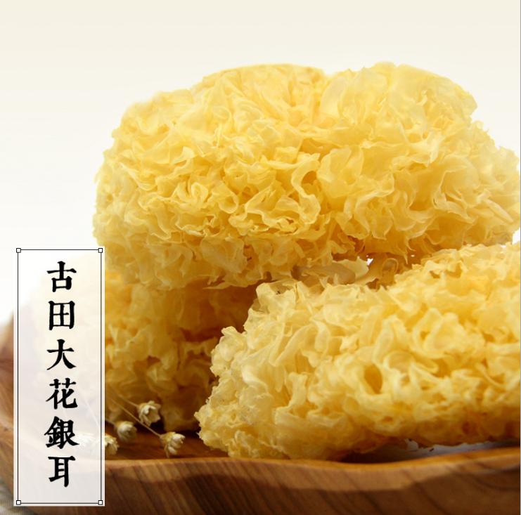 红外热成像仪